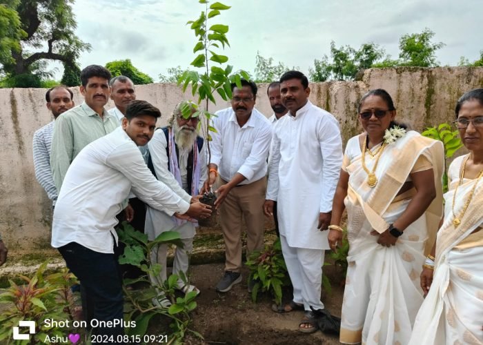 जिल्हा परिषद शाळा राजनखेड गावं येथे वृक्ष लागवड कार्यक्रम.